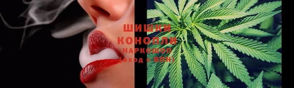 прущие грибы Зеленодольск