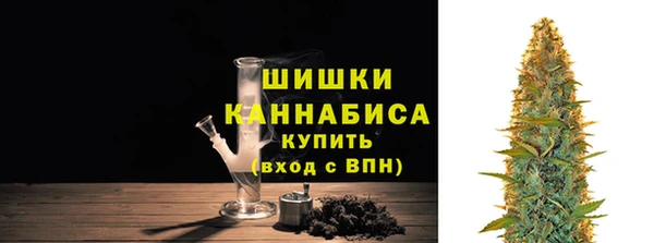 прущие грибы Зеленодольск