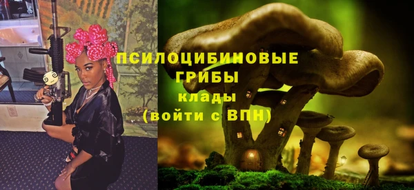 прущие грибы Зеленодольск