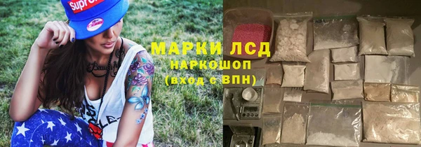 прущие грибы Зеленодольск