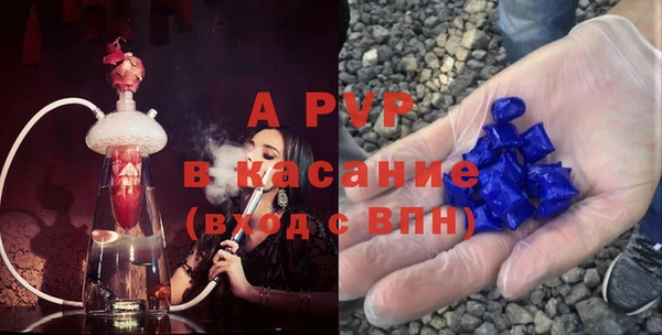 прущие грибы Зеленодольск