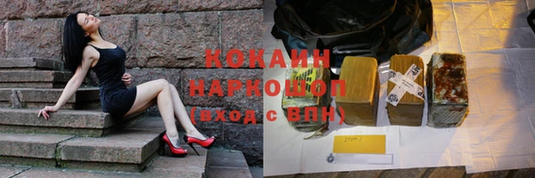 прущие грибы Зеленодольск