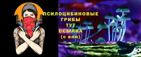 прущие грибы Зеленодольск